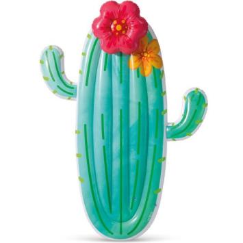 Cactus luchtbed